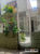 Casa, 8 quartos - Foto 5