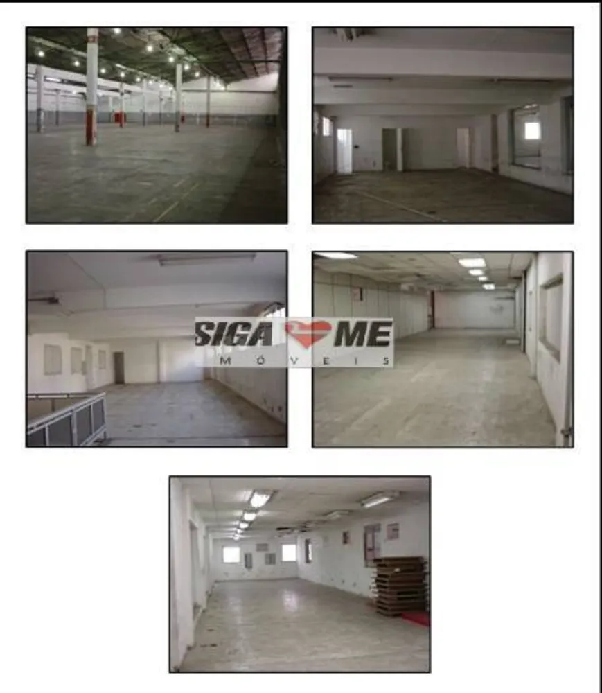 Sala-Conjunto, 6685 m² - Foto 3