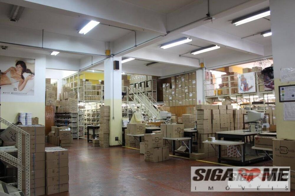 Sala-Conjunto, 8813 m² - Foto 6