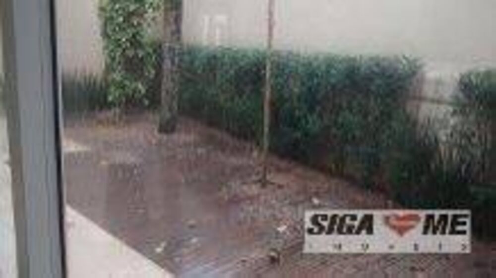 Casa, 4 quartos, 390 m² - Foto 1