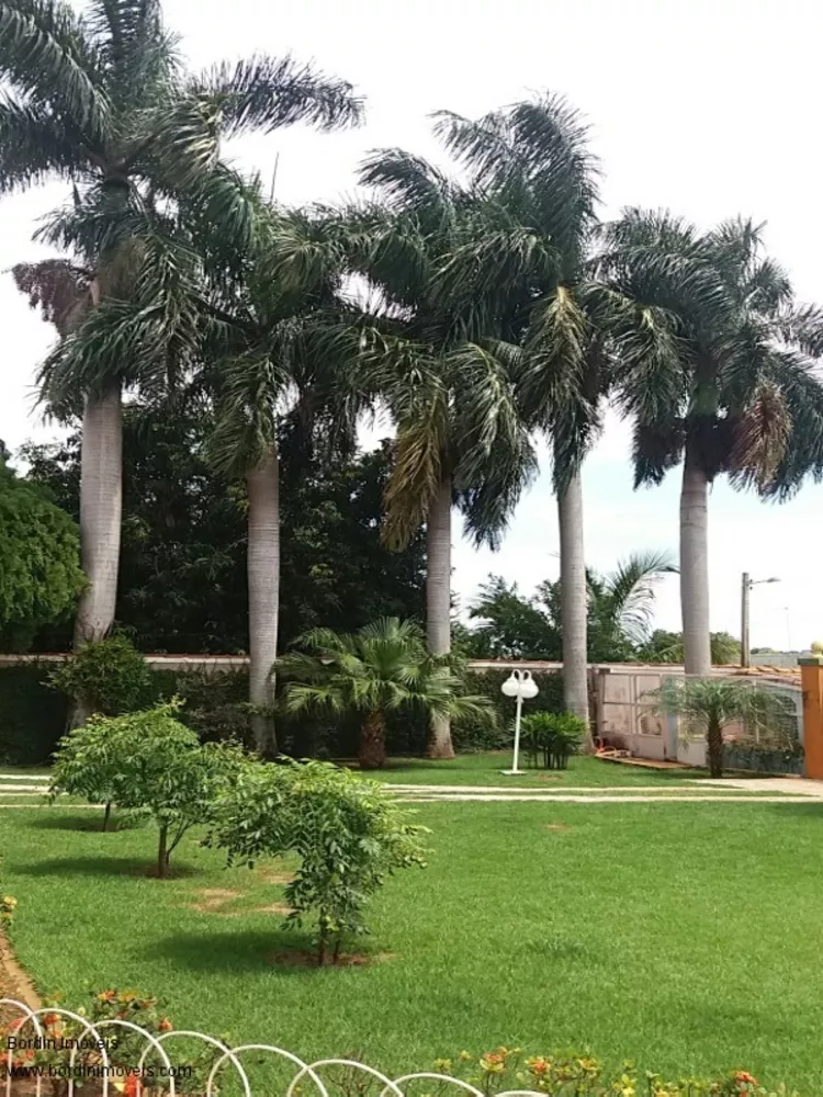 Casa, 5 quartos - Foto 3