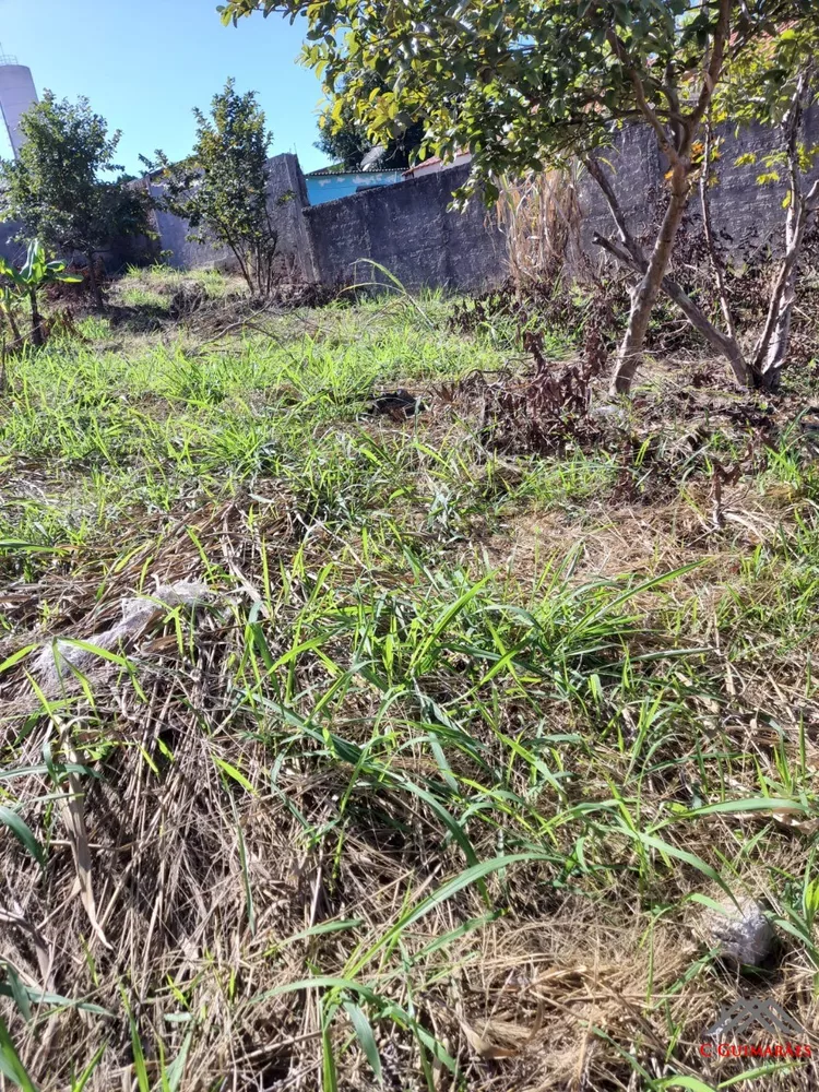 Terreno, 300 m² - Foto 4