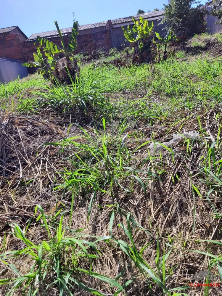Terreno, 300 m² - Foto 3