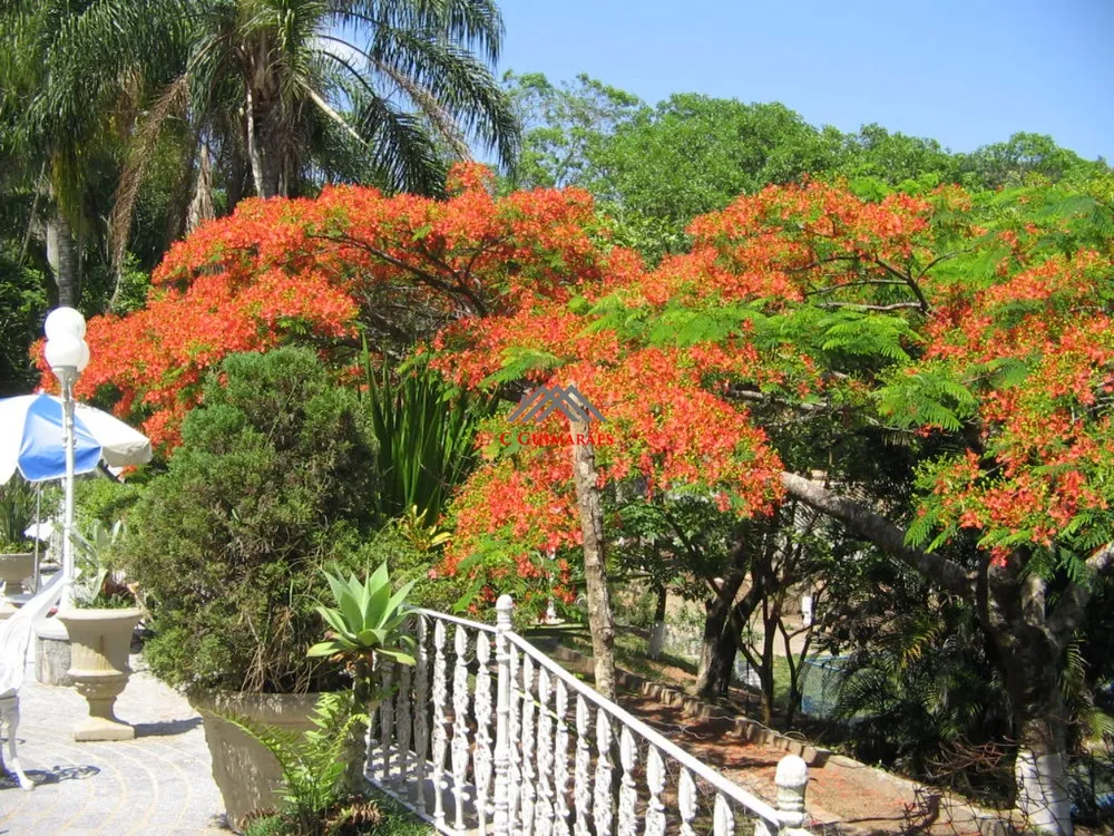 Chácara, 5 quartos - Foto 7