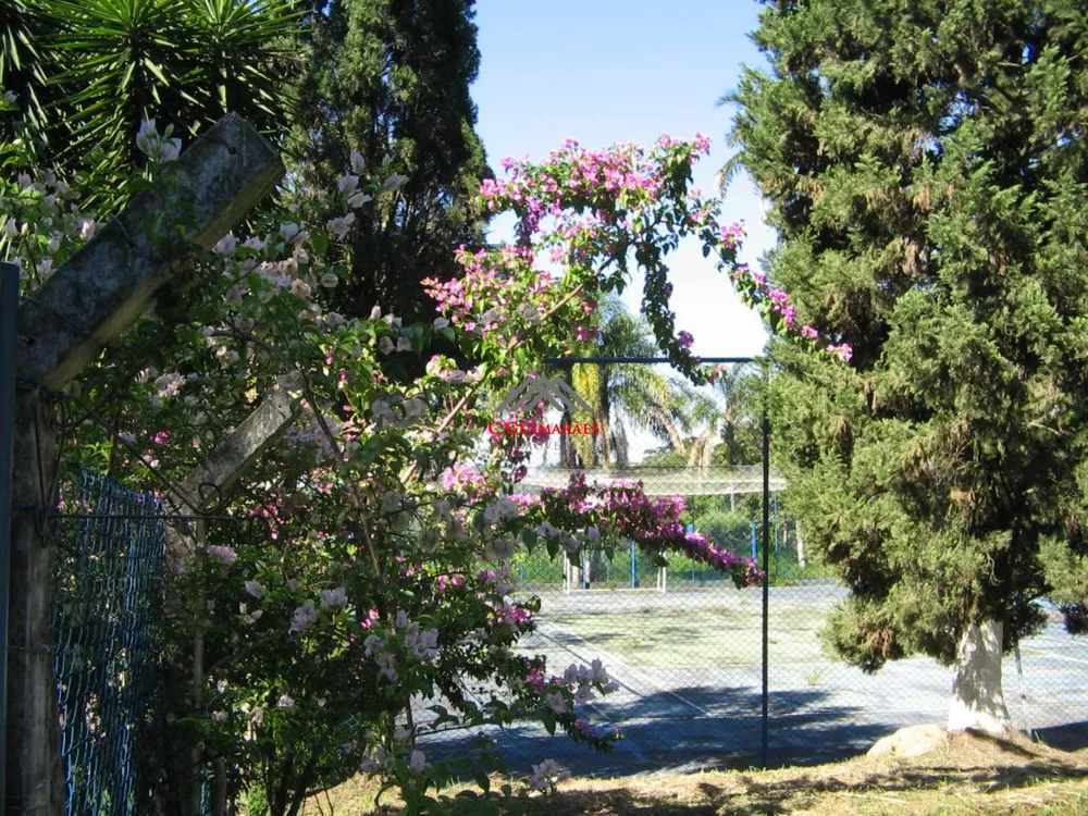 Chácara, 5 quartos - Foto 4