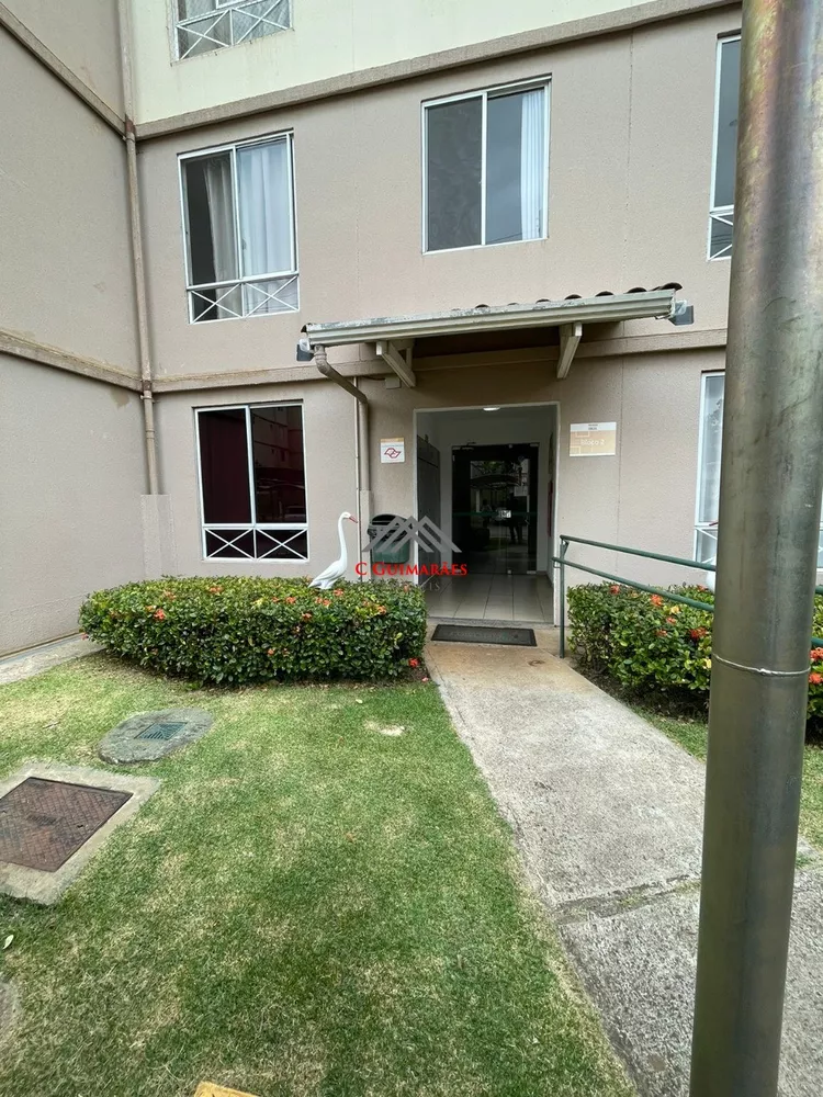 Apartamento, 3 quartos, 60 m² - Foto 1