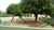 Apartamento, 2 quartos, 57 m² - Foto 4
