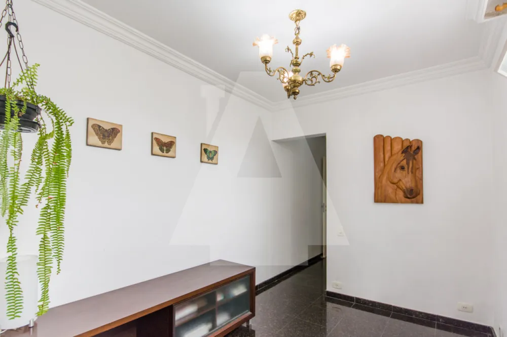 Apartamento, 3 quartos, 270 m² - Foto 8