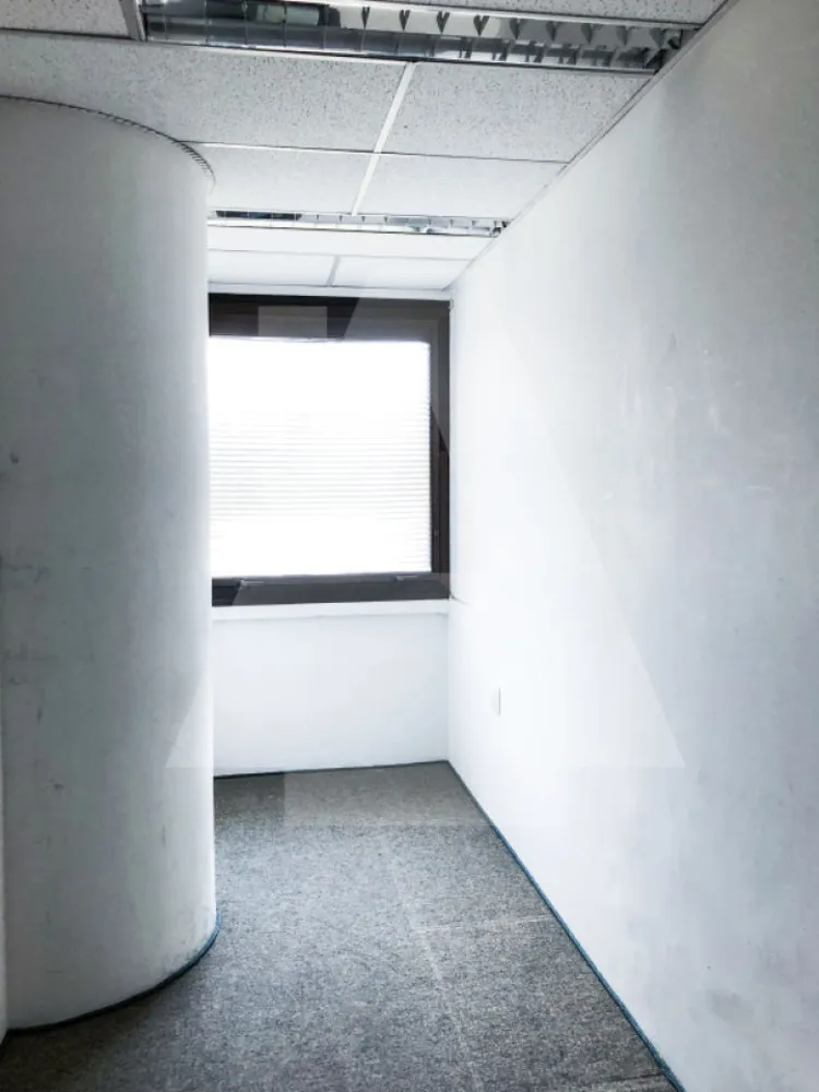 Sala-Conjunto, 138 m² - Foto 3
