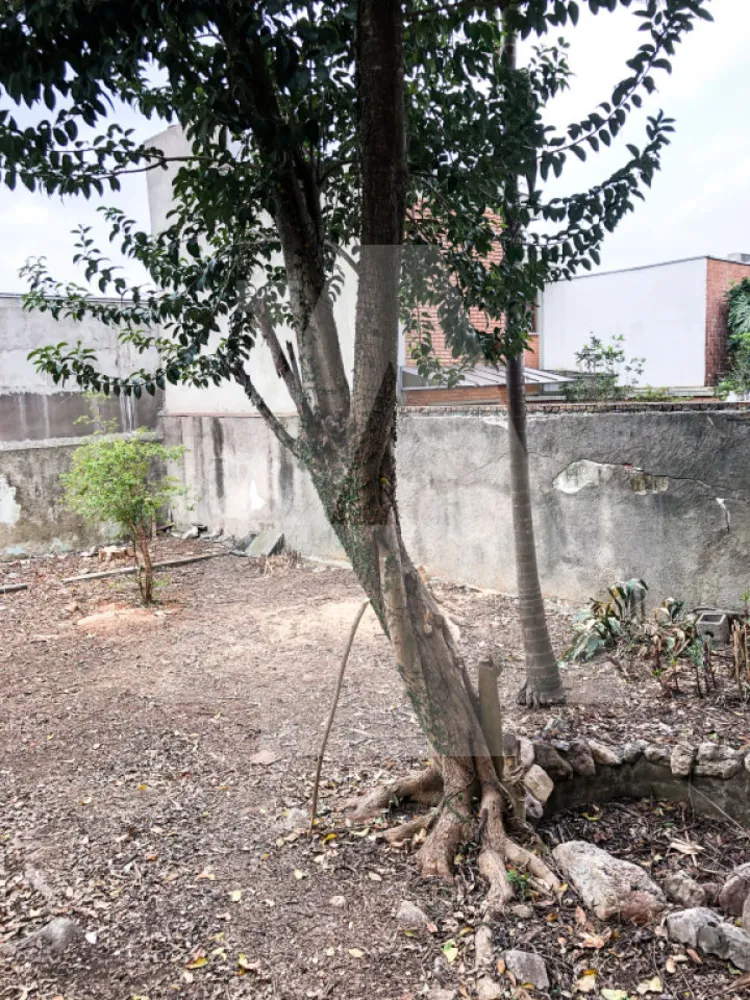 Sobrado, 4 quartos, 308 m² - Foto 5