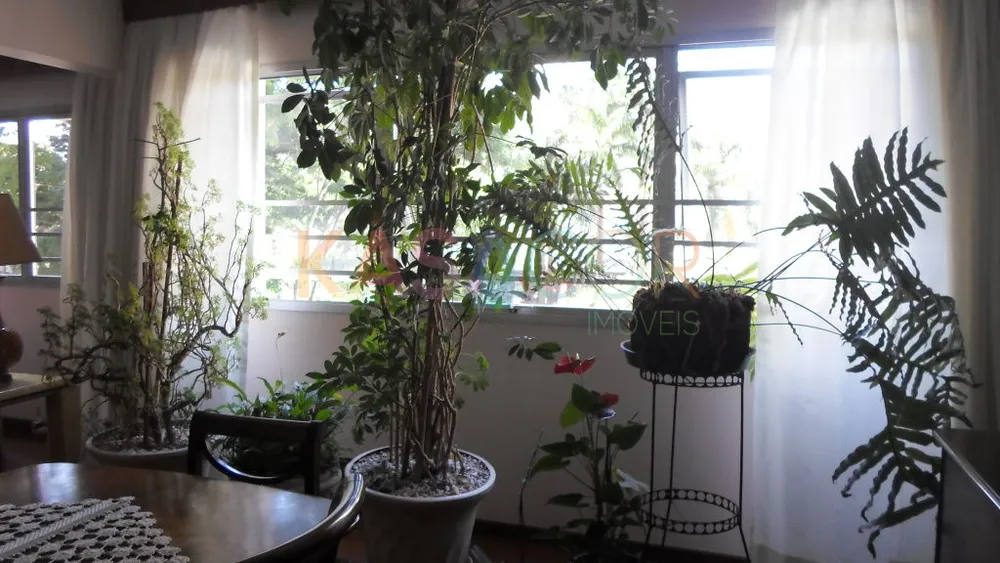 Apartamento, 4 quartos, 300 m² - Foto 1