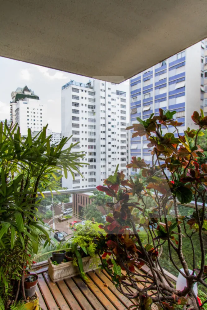 Apartamento, 3 quartos, 230 m² - Foto 7