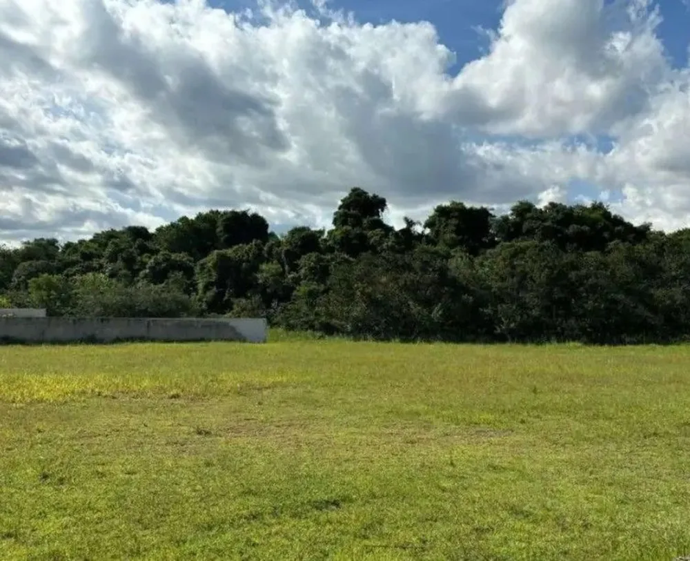 Terreno, 1000 m² - Foto 4