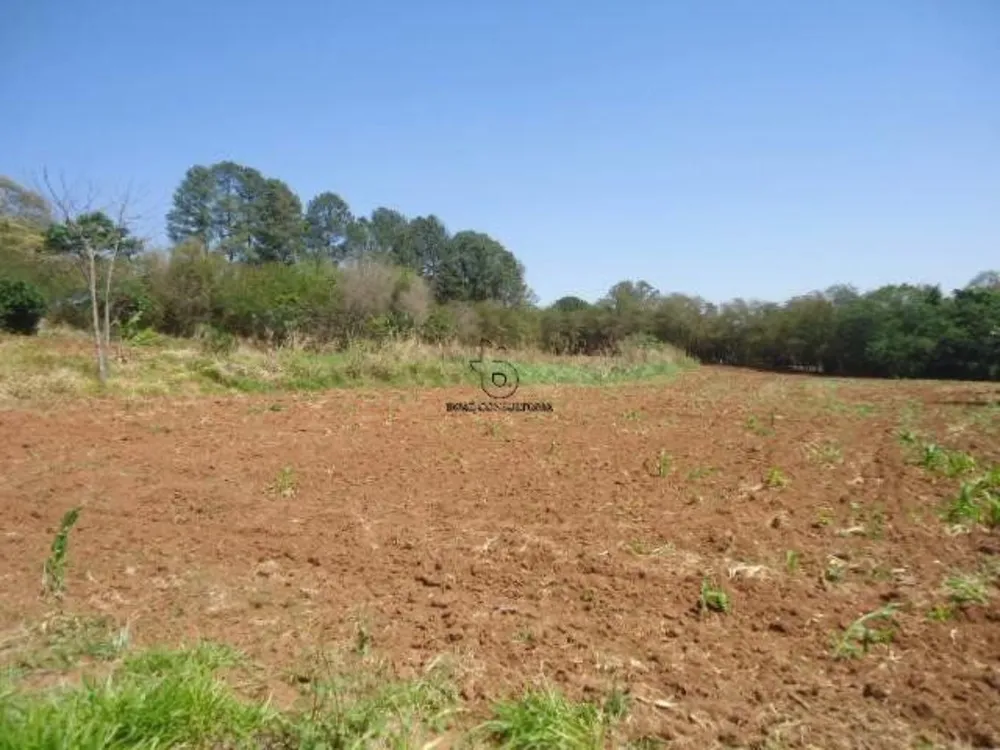 Loteamento e Condomínio, 8 hectares - Foto 4