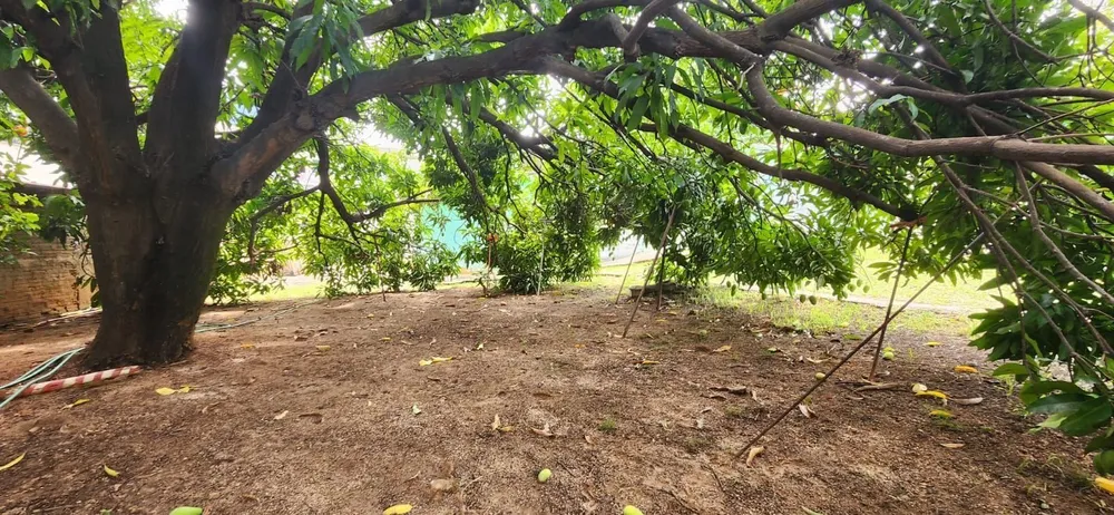 Terreno, 800 m² - Foto 15