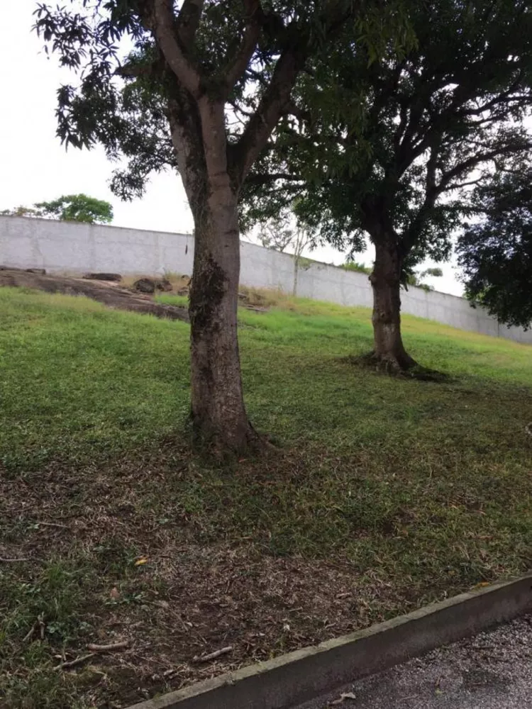 Fazenda à venda com 8 quartos, 400m² - Foto 7