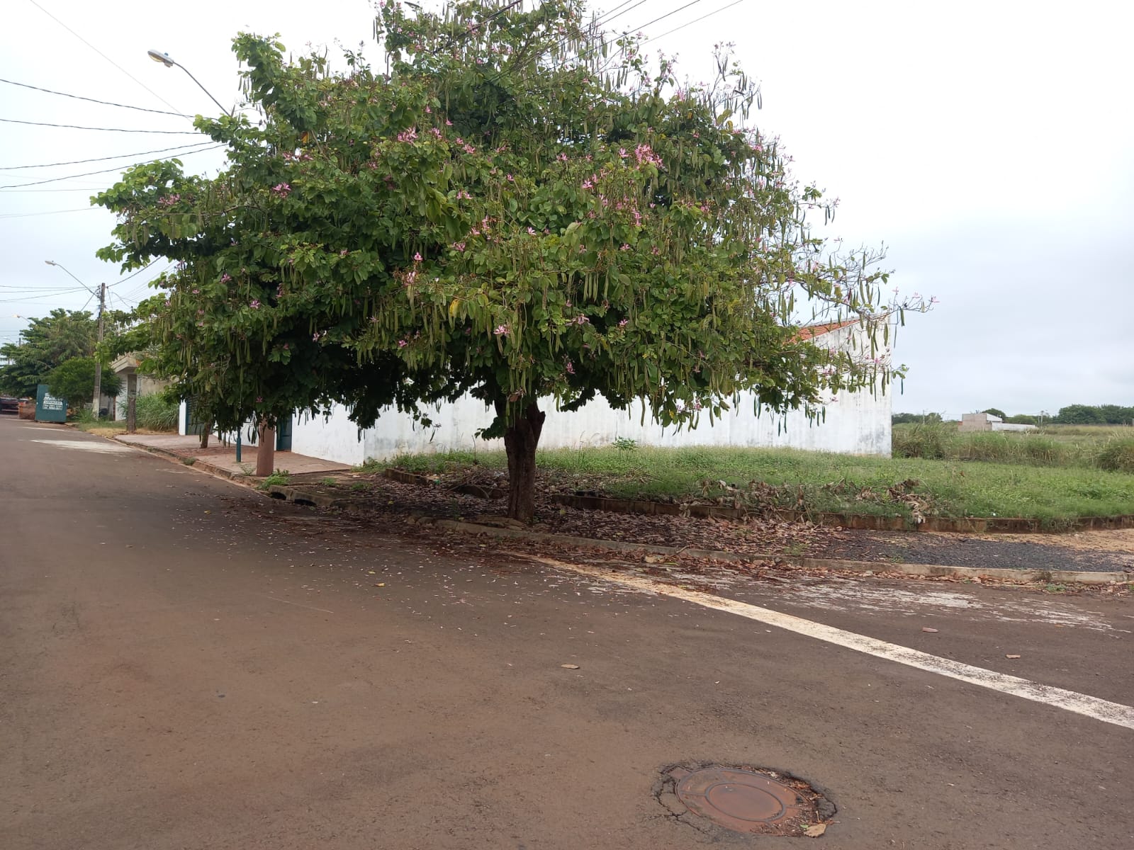 Terreno à venda, 220m² - Foto 2