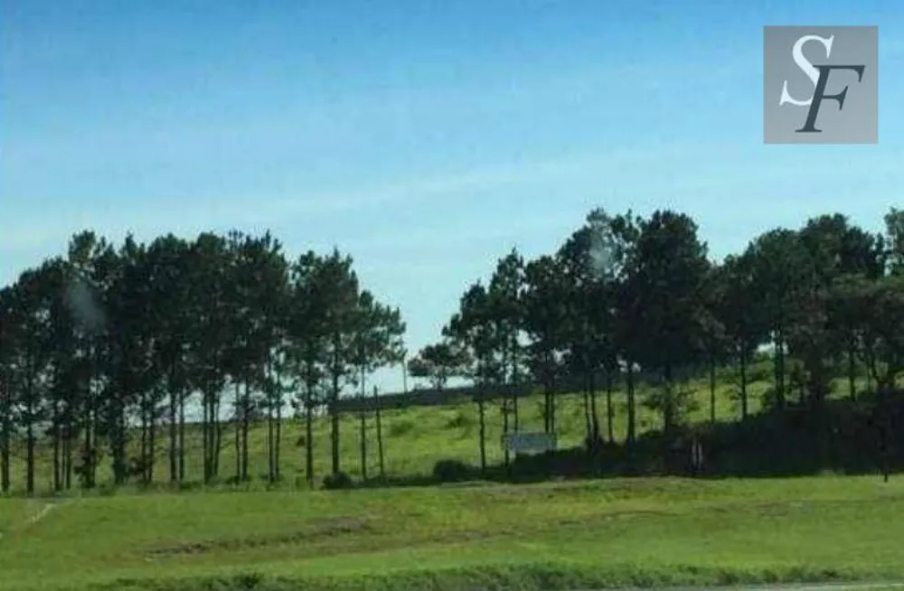 Terreno, 1 hectares - Foto 2