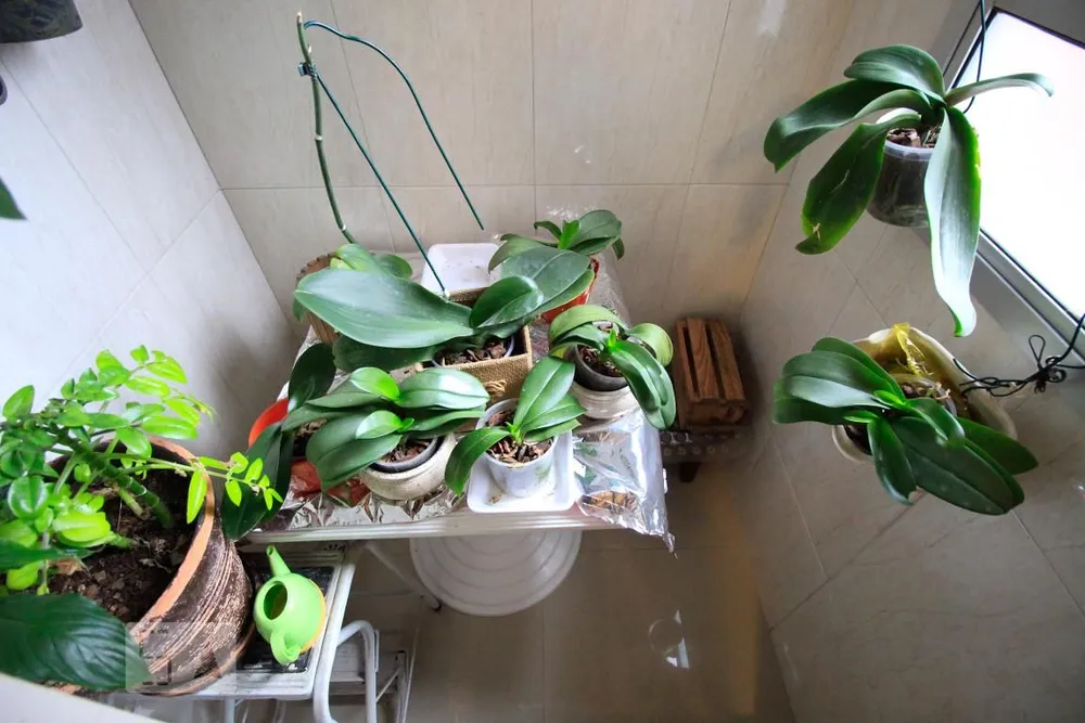 Apartamento, 4 quartos, 136 m² - Foto 7