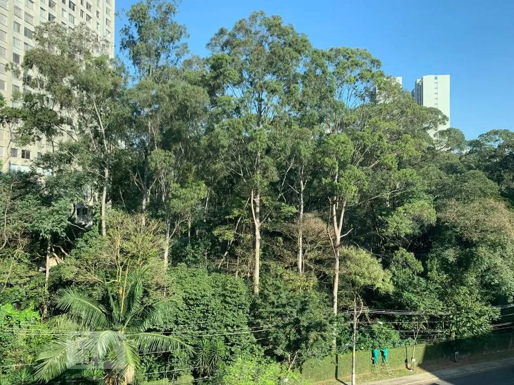 Apartamento, 3 quartos, 220 m² - Foto 4
