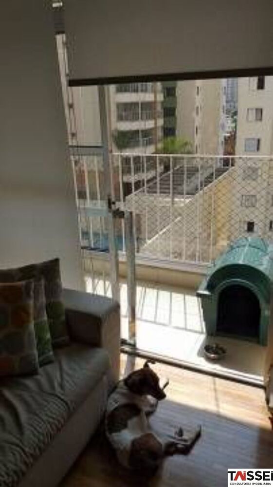 Apartamento, 3 quartos, 83 m² - Foto 3