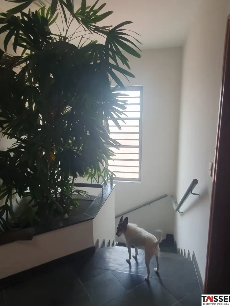 Casa, 4 quartos, 220 m² - Foto 11