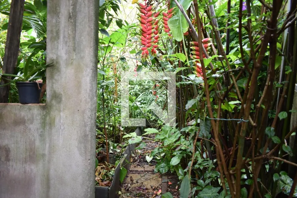 Casa, 4 quartos, 250 m² - Foto 10