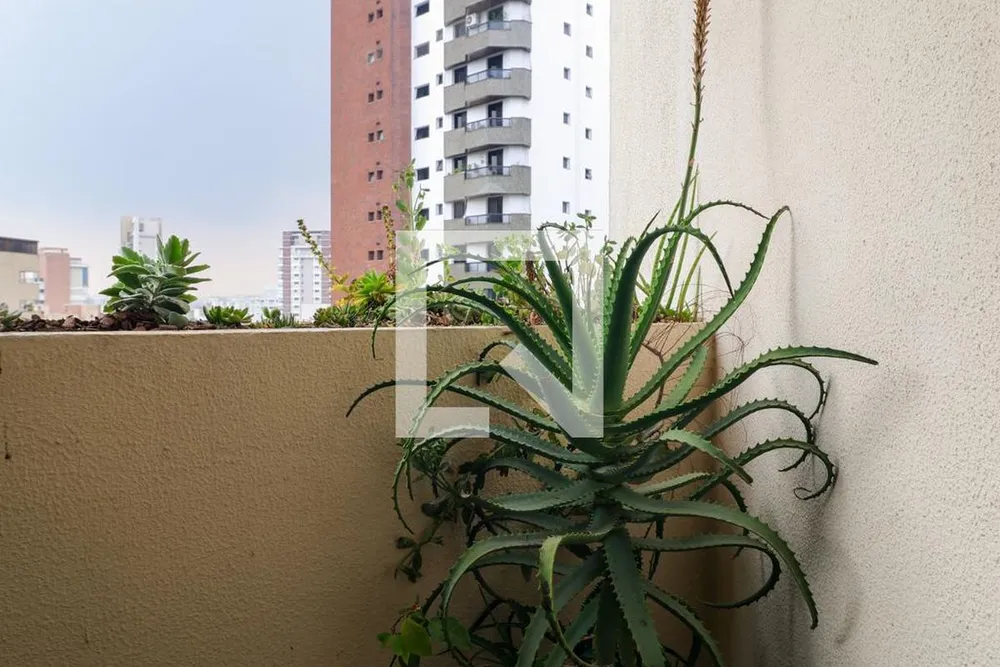 Apartamento, 3 quartos, 130 m² - Foto 7