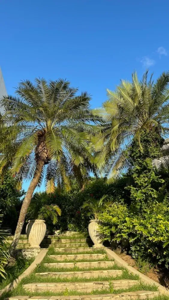 Casa de Condomínio, 5 quartos - Foto 4