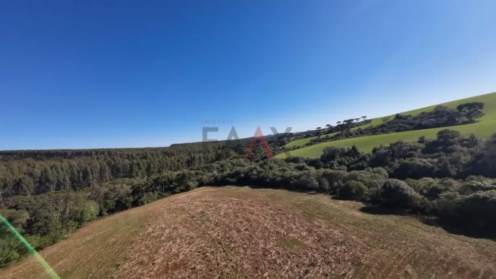 Sítio, 242000 m² - Foto 12