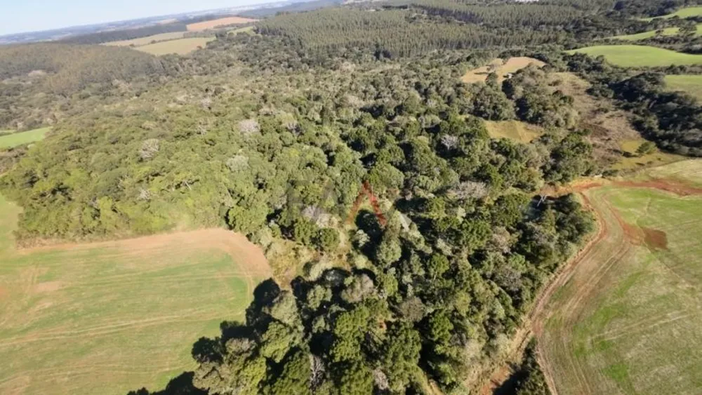 Sítio, 242000 m² - Foto 2