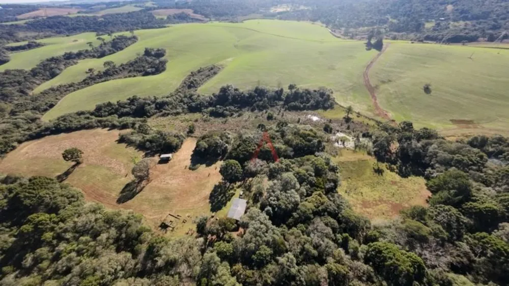 Sítio, 242000 m² - Foto 6