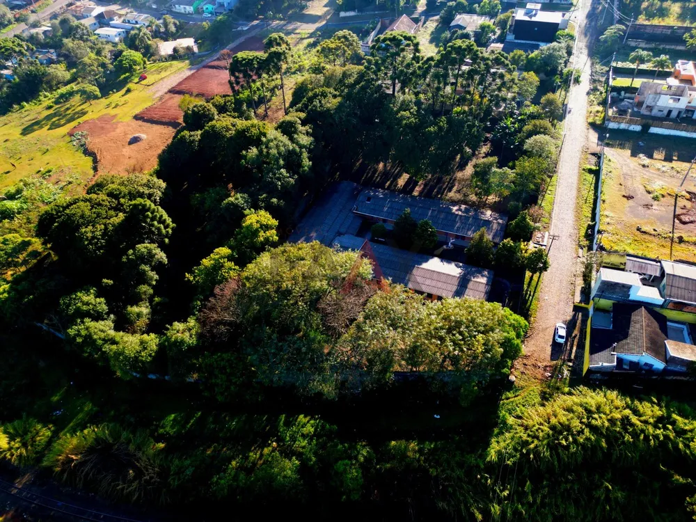 Terreno, 4699 m² - Foto 4