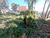 Sala-Conjunto, 28 m² - Foto 2