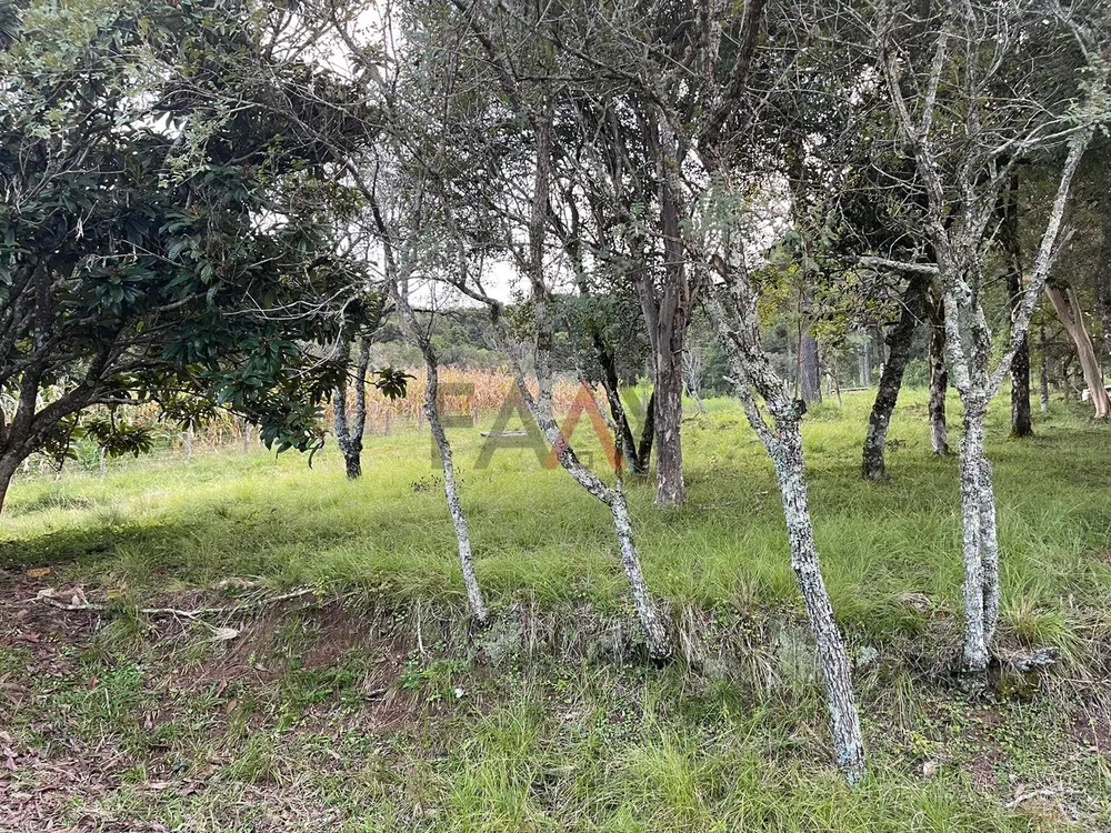 Sítio - Foto 6