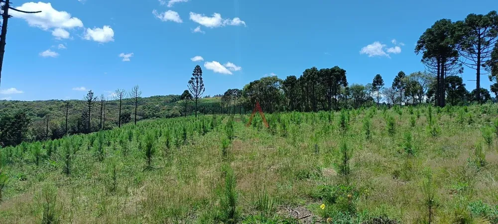 Chácara - Foto 7