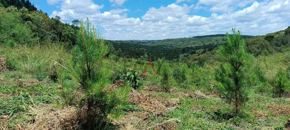 Chácara - Foto 11