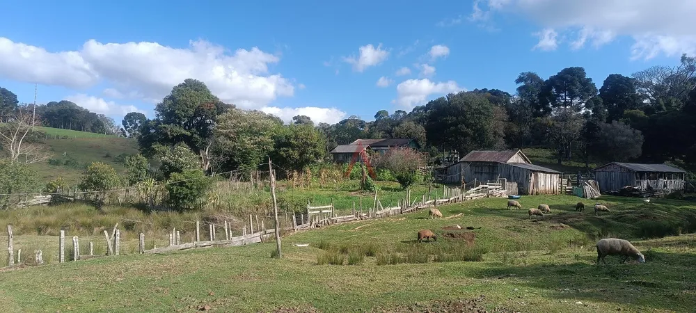 Chácara - Foto 5