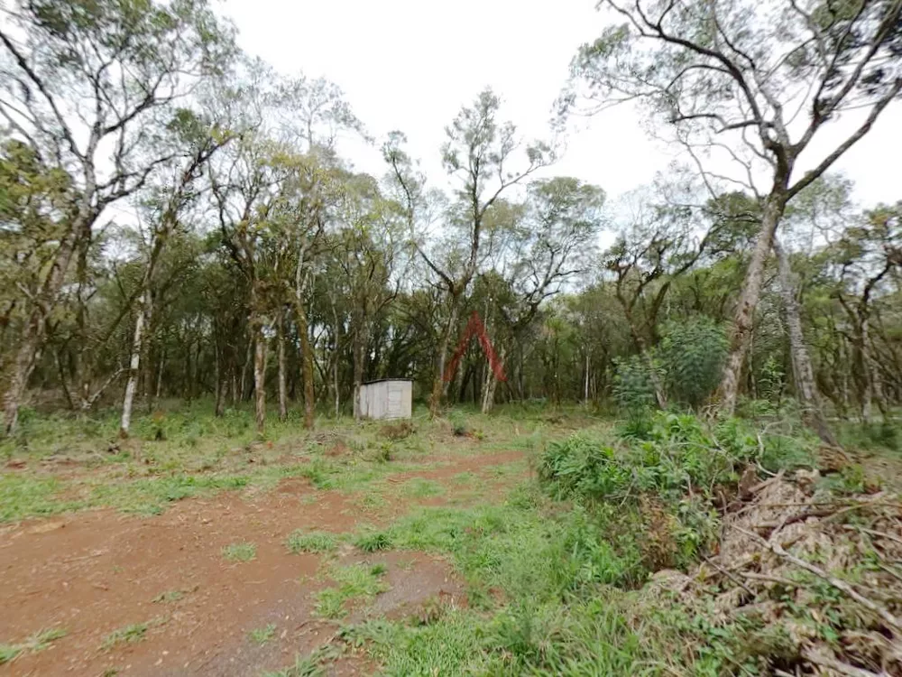 Fazenda à venda, 20000m² - Foto 4