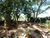 Sobrado, 1 quarto, 250 m² - Foto 3