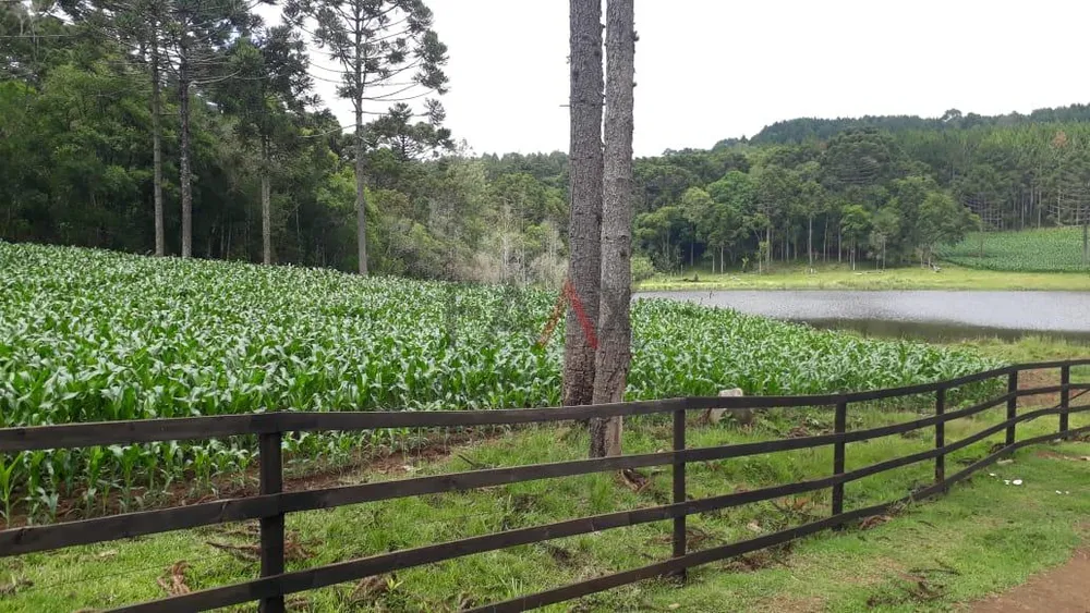 Fazenda, 2 quartos - Foto 5
