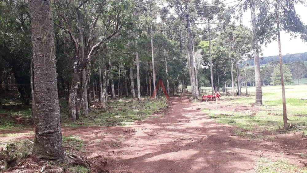 Fazenda, 2 quartos - Foto 6