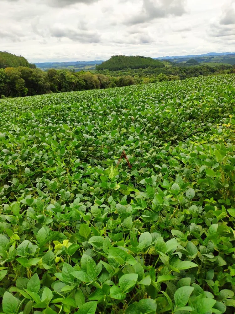 Fazenda - Foto 7