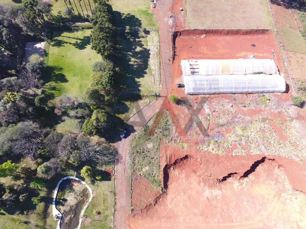 Terreno, 10000 m² - Foto 3