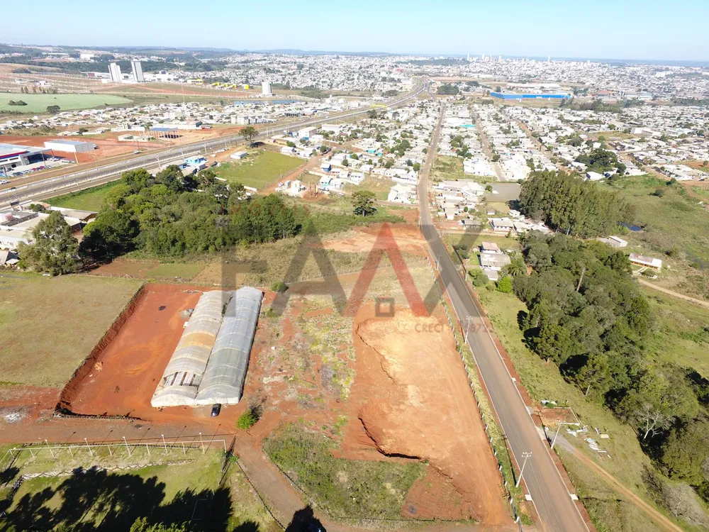 Terreno, 10000 m² - Foto 8