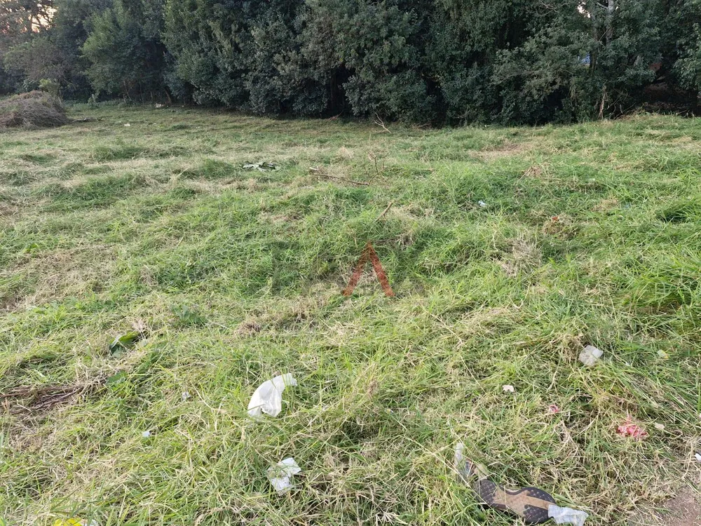 Terreno, 300 m² - Foto 7