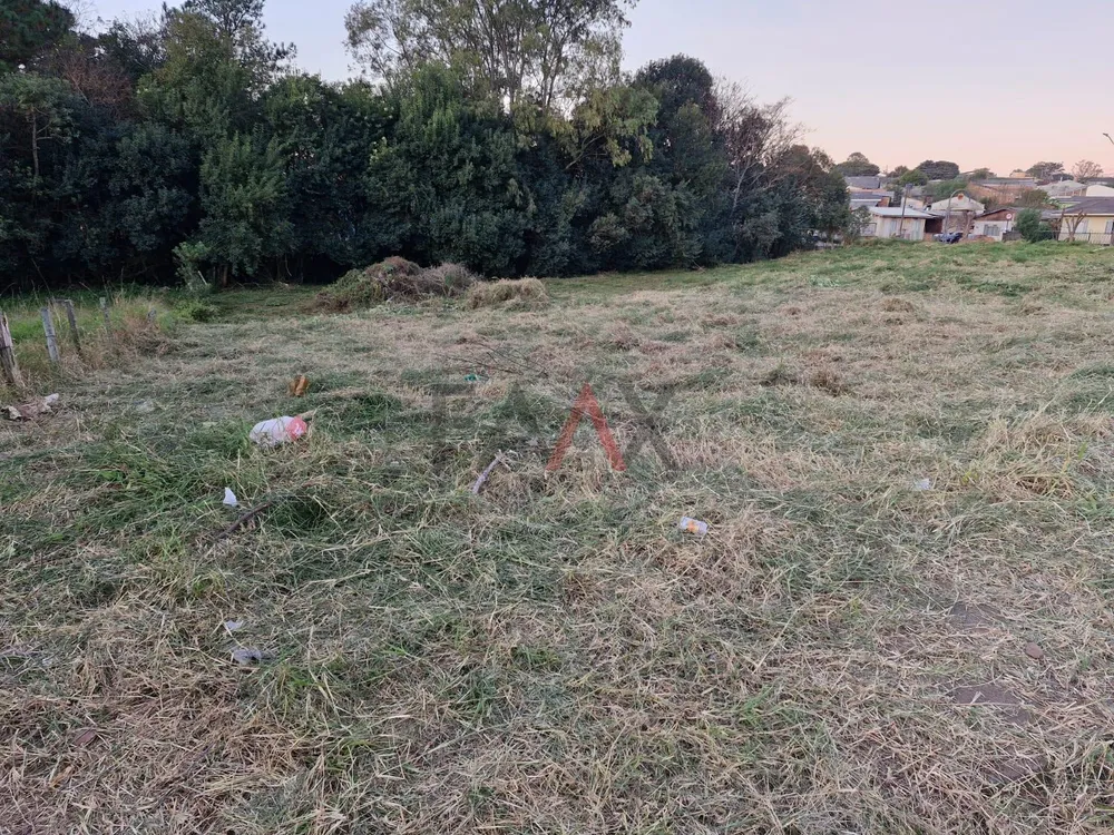 Terreno, 300 m² - Foto 4