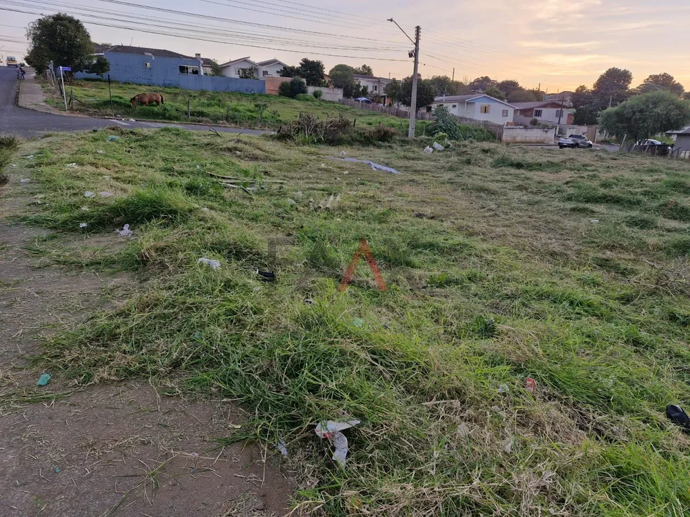 Terreno, 300 m² - Foto 2