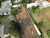 Terreno, 600 m² - Foto 4