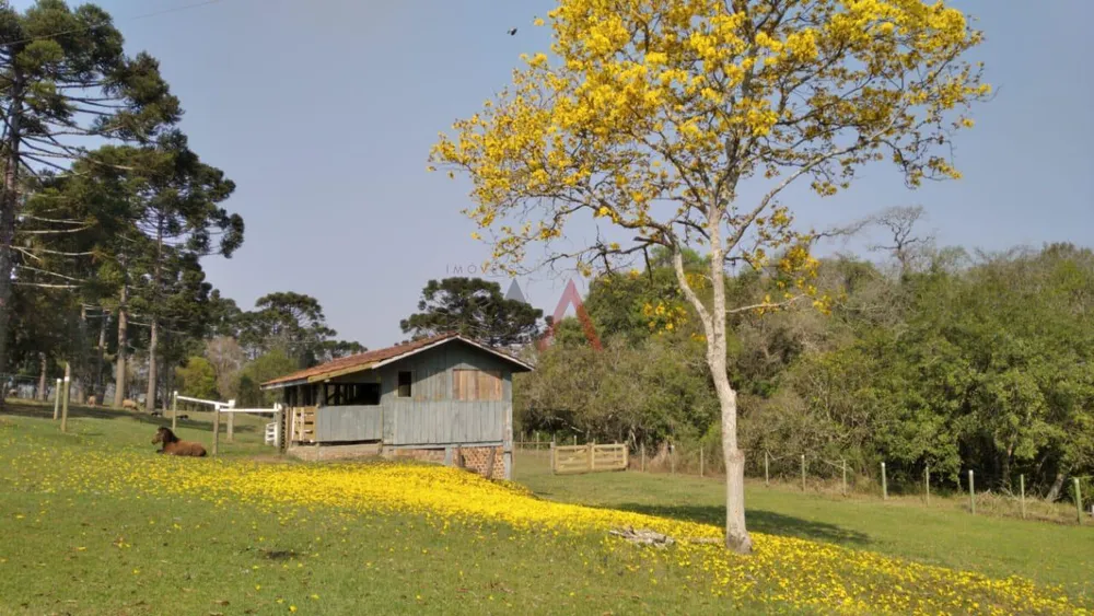 Sítio, 215304 m² - Foto 3